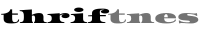 thriftnes.com
